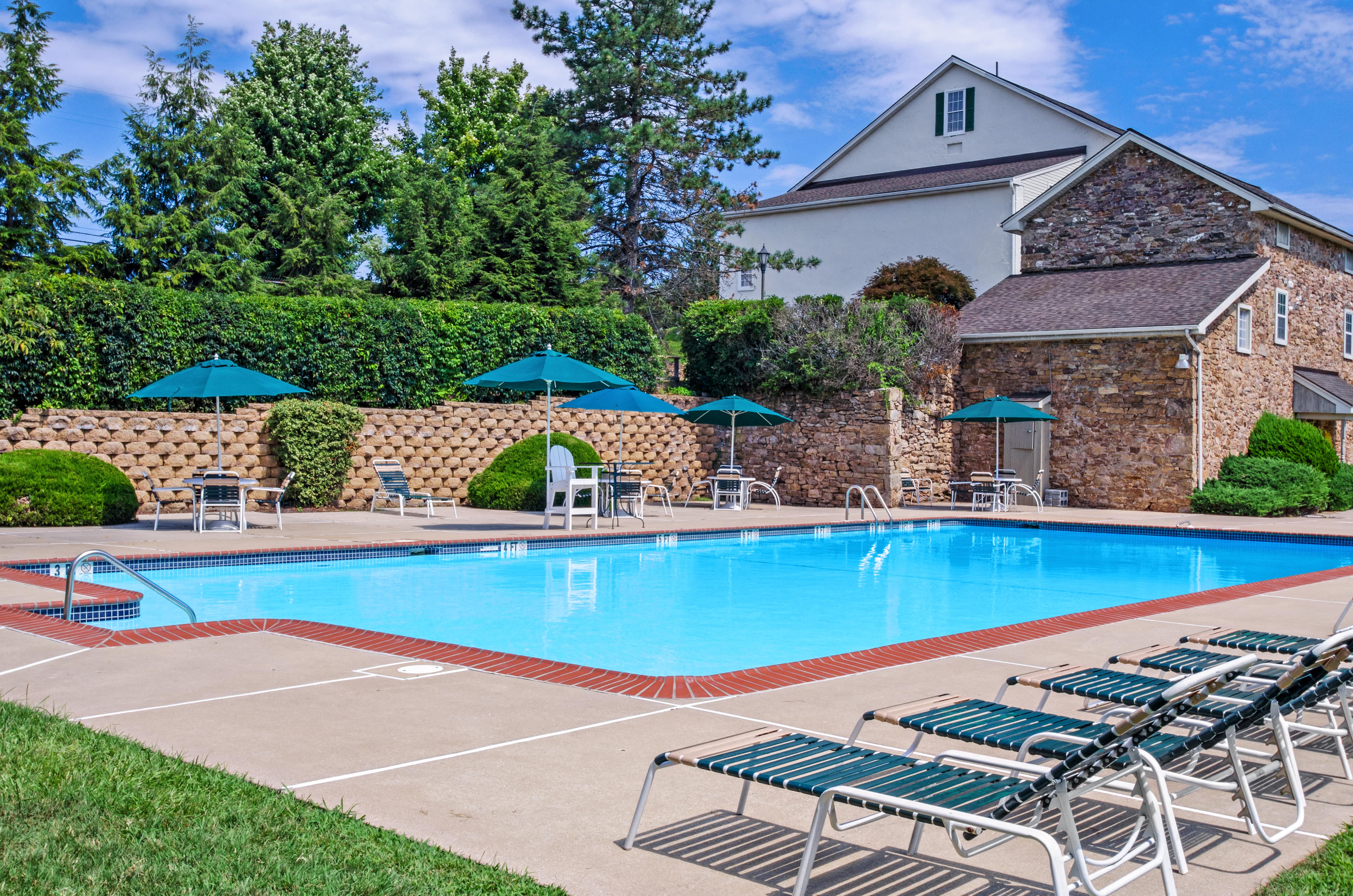 Swimming pool surrounded by lounge chairs and tables and adorned with tall trees.