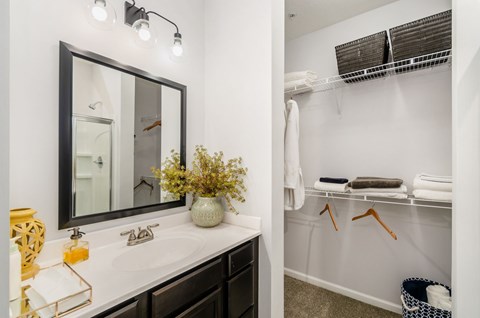 A bathroom with a white sink and a mirror above it.