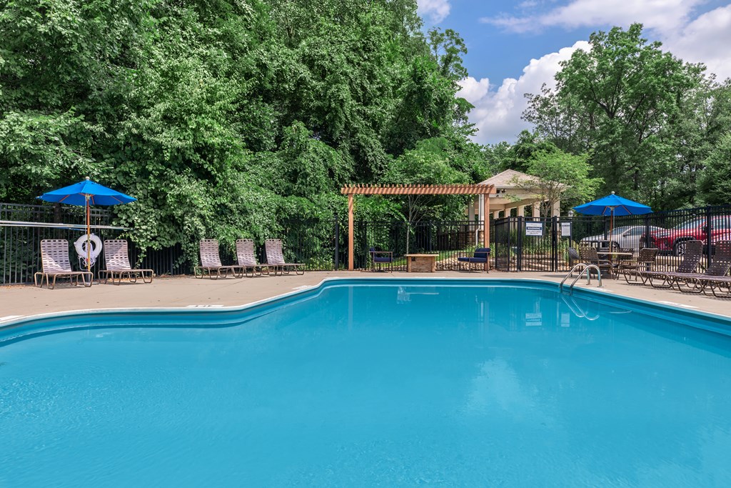 A large blue swimming pool surrounded by trees and lounge chairs.