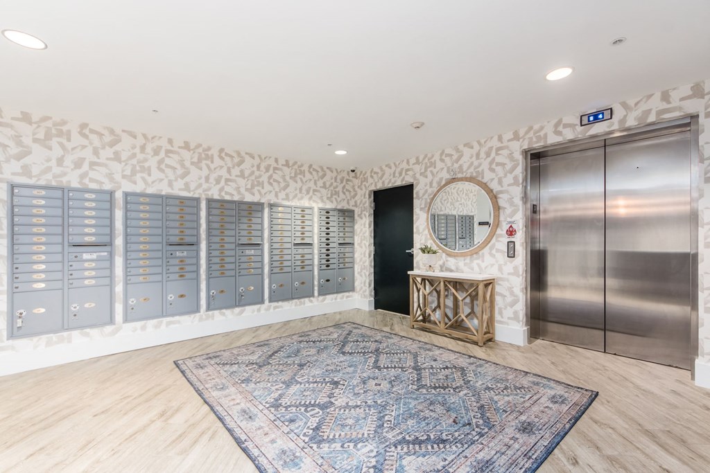 a large room with a closet and a rug