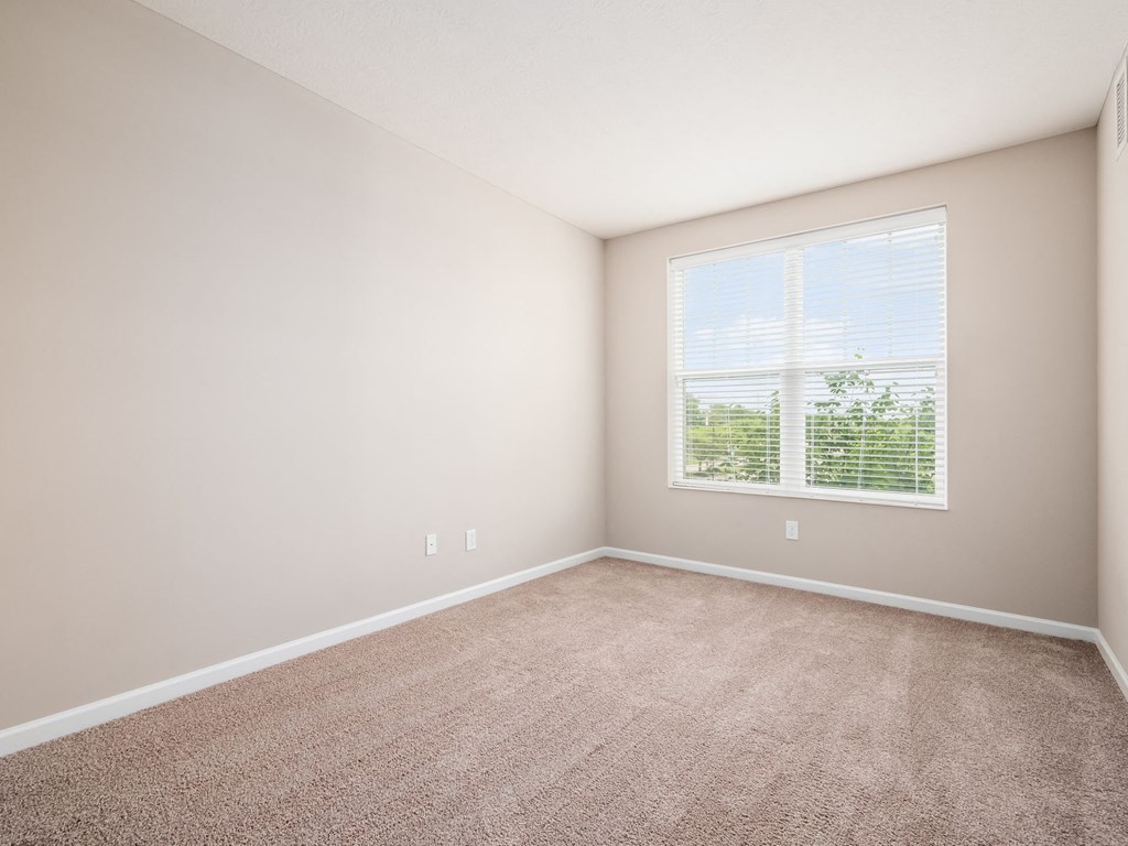 an empty room with a window and carpet