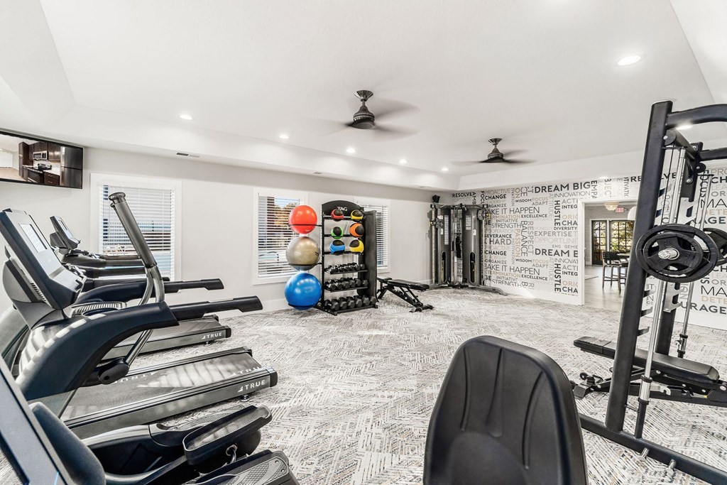 the gym in the home has treadmills and other exercise equipment