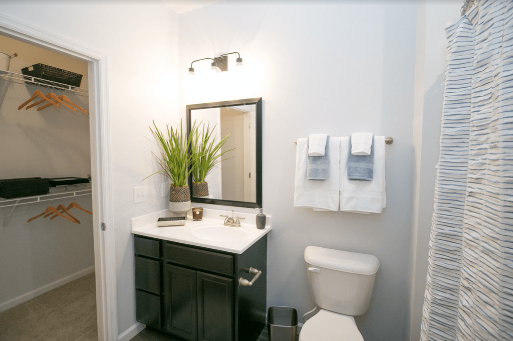 a bathroom with a toilet sink and mirror and a shower