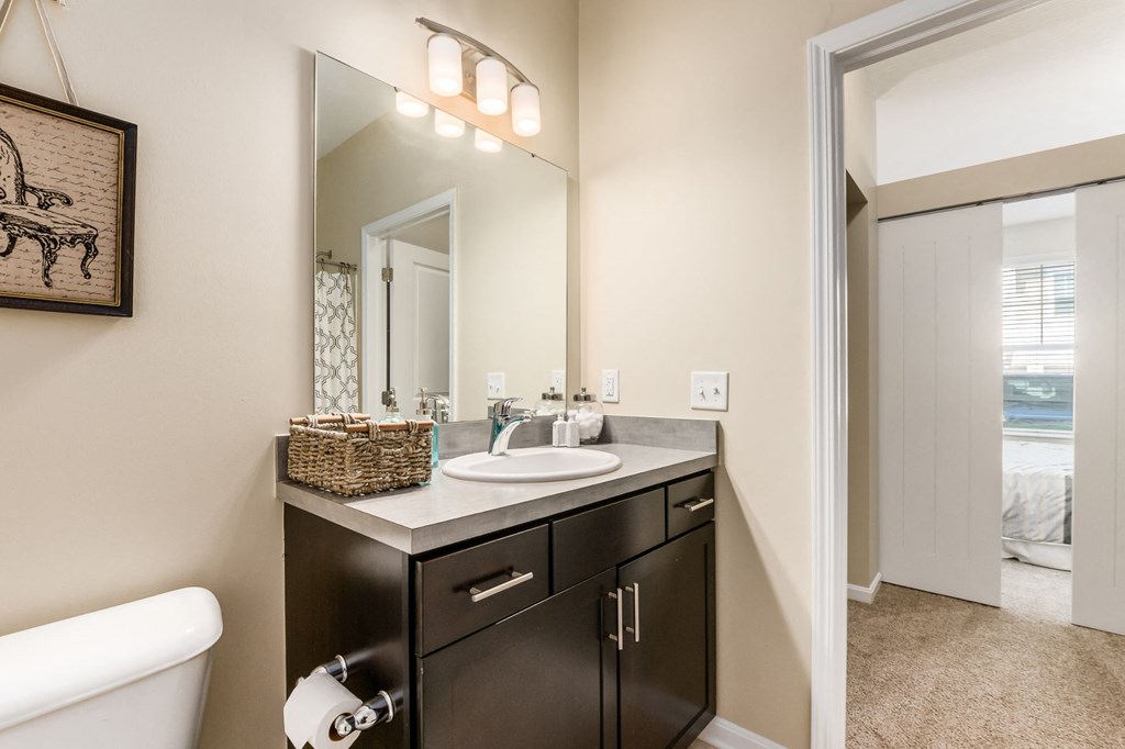 a bathroom with a sink and a mirror