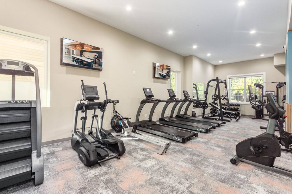 the gym is equipped with cardio equipment and weights