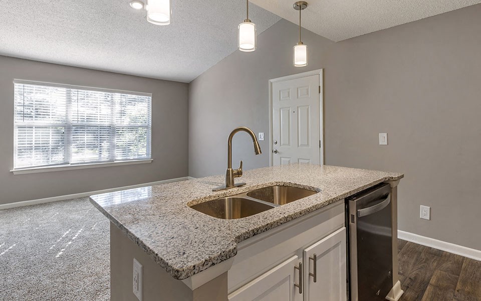 Aspen 1x1 629 kitchen B