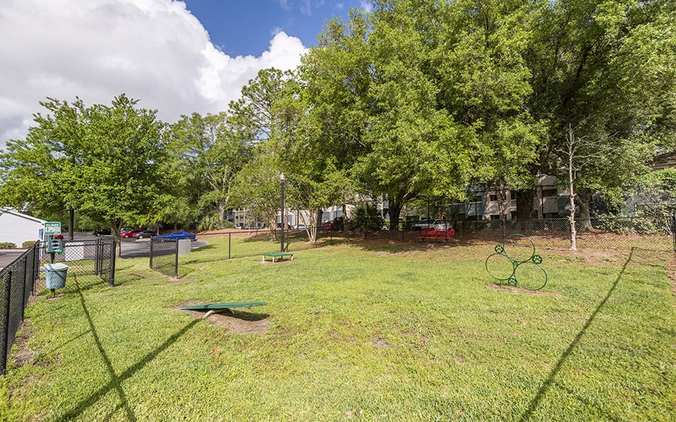 Landings At Lake Gray