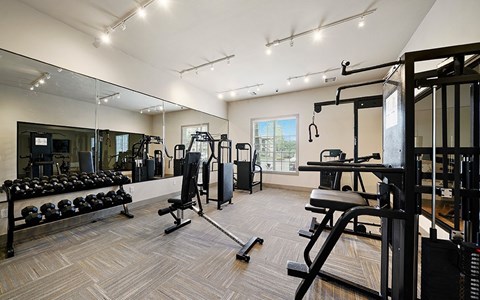 A spacious gym with a variety of equipment including dumbbells, weight machines, and a bench press.