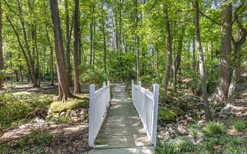 Harbison Walking Trail Access - Photo Gallery 41