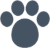 Four Legged Friendly