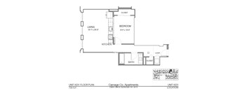 A floor plan for a 733 S.F. apartment unit at Carriage Co. Apartments.