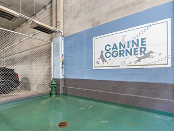 the indoor swimming pool at canine corner with a sign on the wall at One 333, Chicago, Illinois