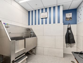 a large stainless steel sink in a kitchen with blue and white striped walls at One 333, Chicago, Illinois, 60605