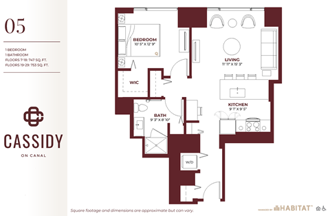 Studio 05 Floor Planat Cassidy on Canal, Chicago, IL, 60654