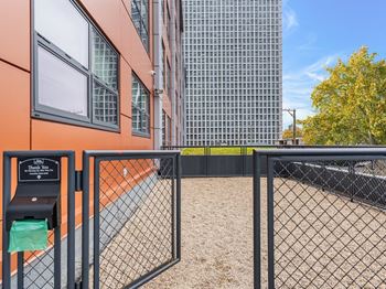 the preserve at cardinal apartments dog park and building entrance
