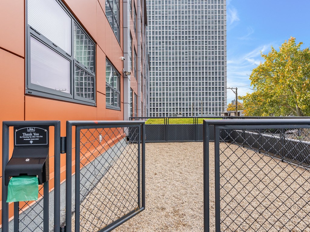 the preserve at ballantyne commons dog park and fence with buildings in the background
