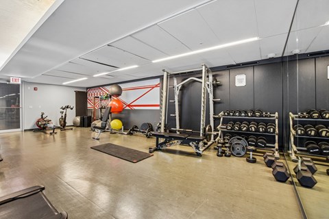 A gym with a variety of equipment including weights and a punching bag.