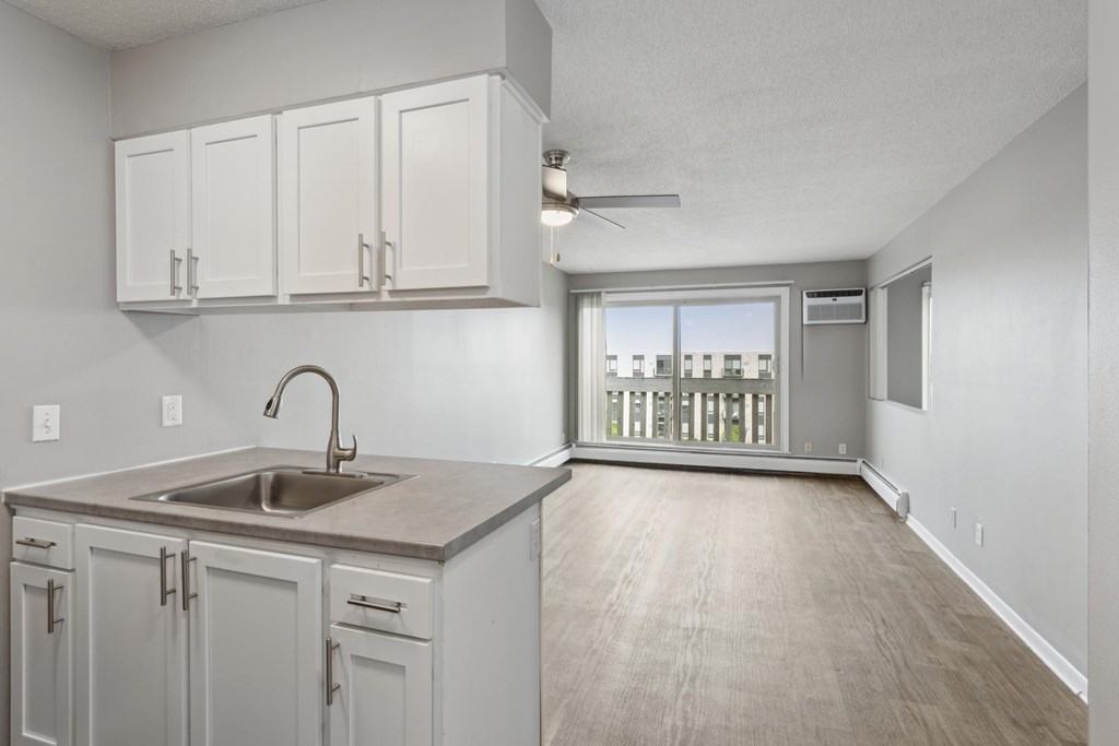 A kitchen with a sink and cabinets.