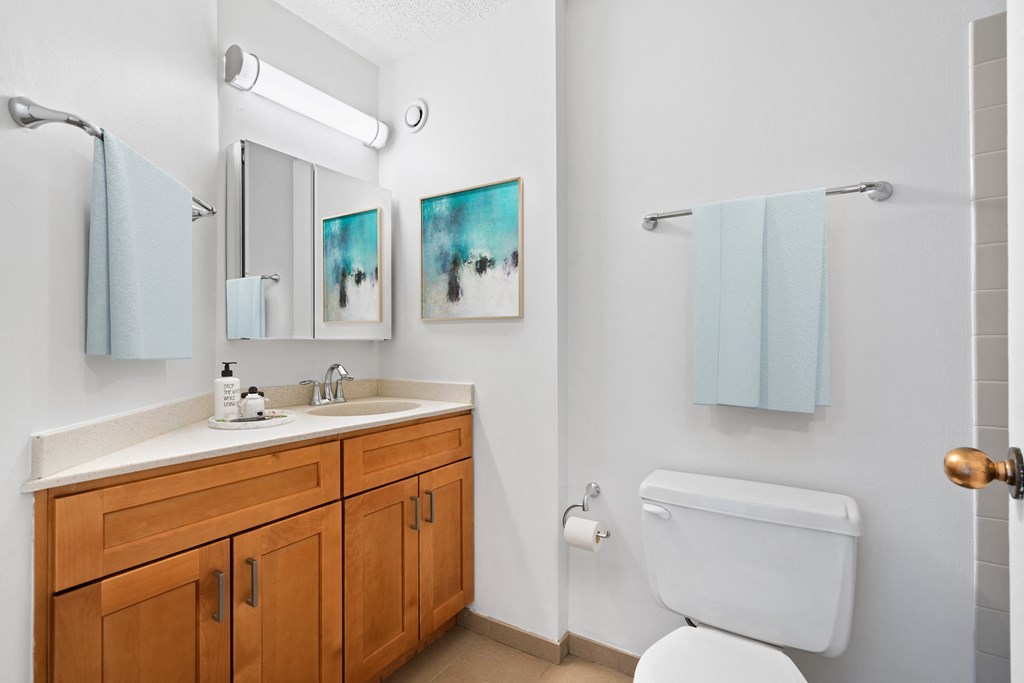 Bathroom With Bathtub at Asbury Plaza, Chicago, IL, 60654