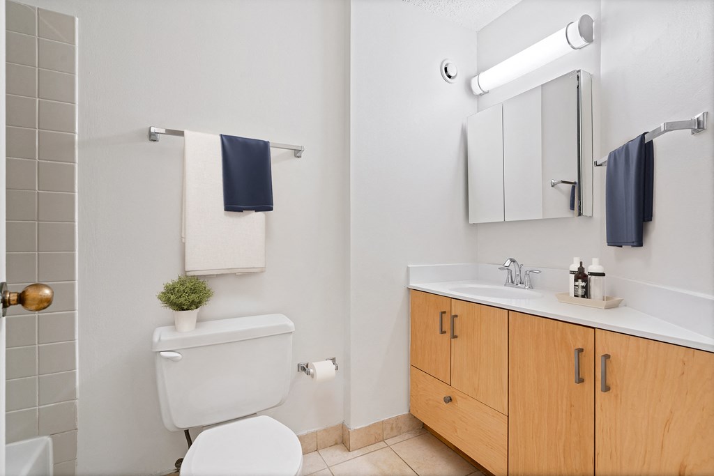 Luxurious Bathroom at Asbury Plaza, Chicago, IL