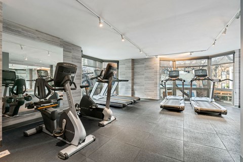 Fitness Center With Updated Equipment at Elm Street Plaza, Chicago, 60610