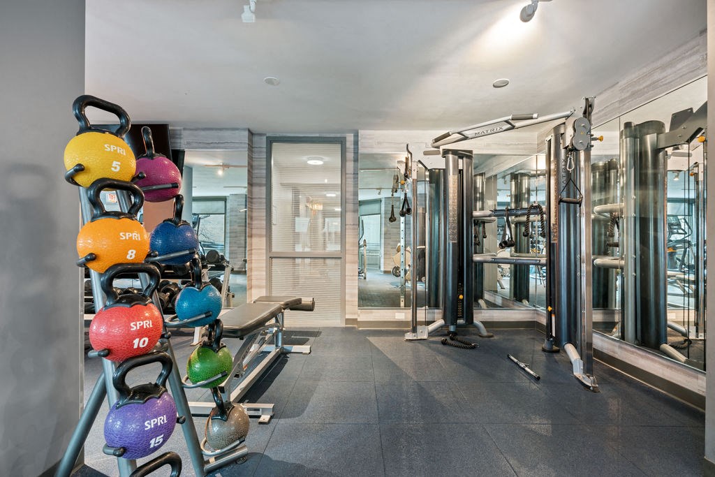 Fitness Center With Modern Equipment at Elm Street Plaza, Chicago, IL