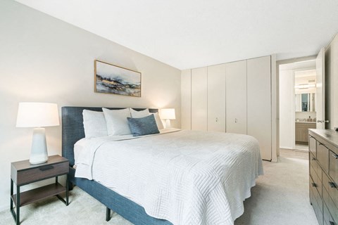 Bedroom With Bathroom at Elm Street Plaza, Chicago, IL, 60610