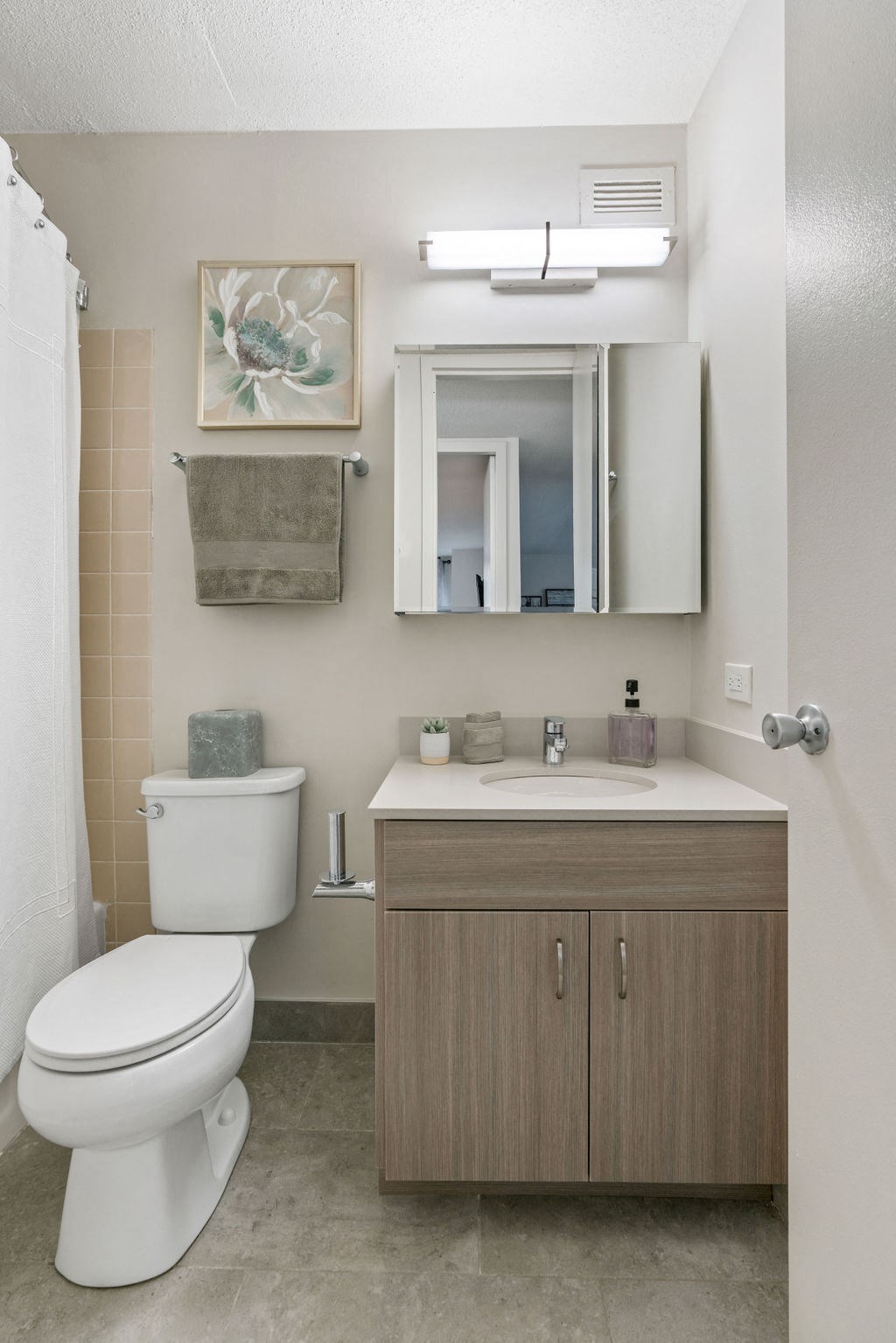 Luxurious Bathroom at Elm Street Plaza, Illinois, 60610