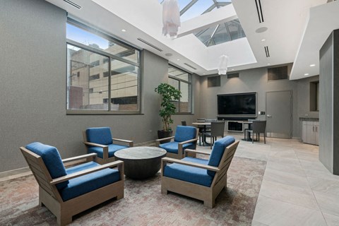 Entertainment Lounge at Elm Street Plaza, Chicago, IL