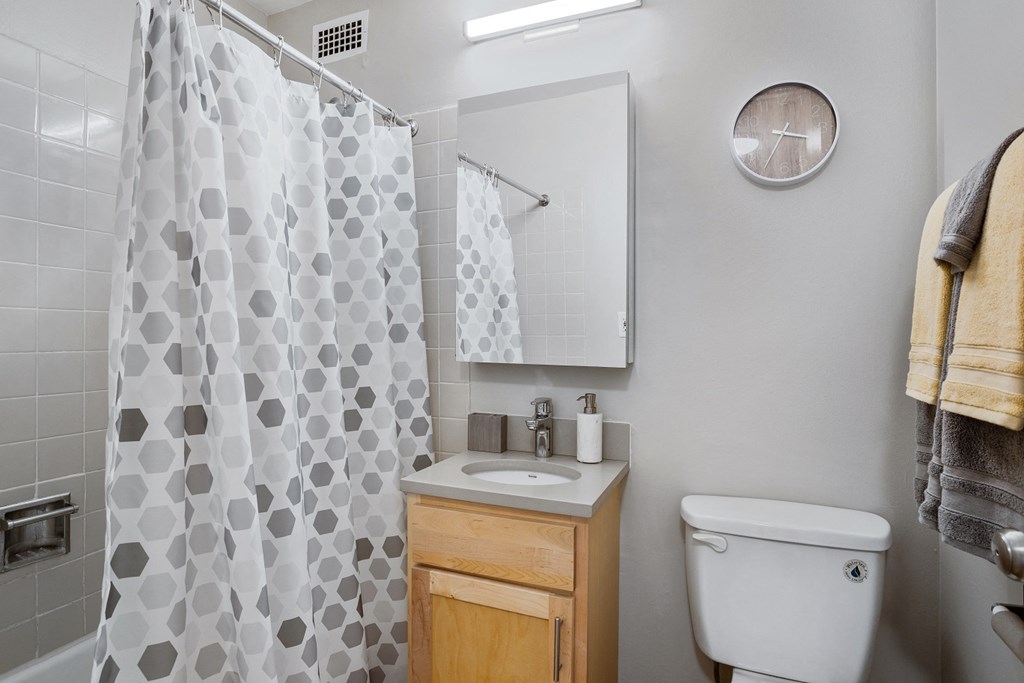 a bathroom with a sink toilet and shower at Eden Commons, Chicago, IL, 60616