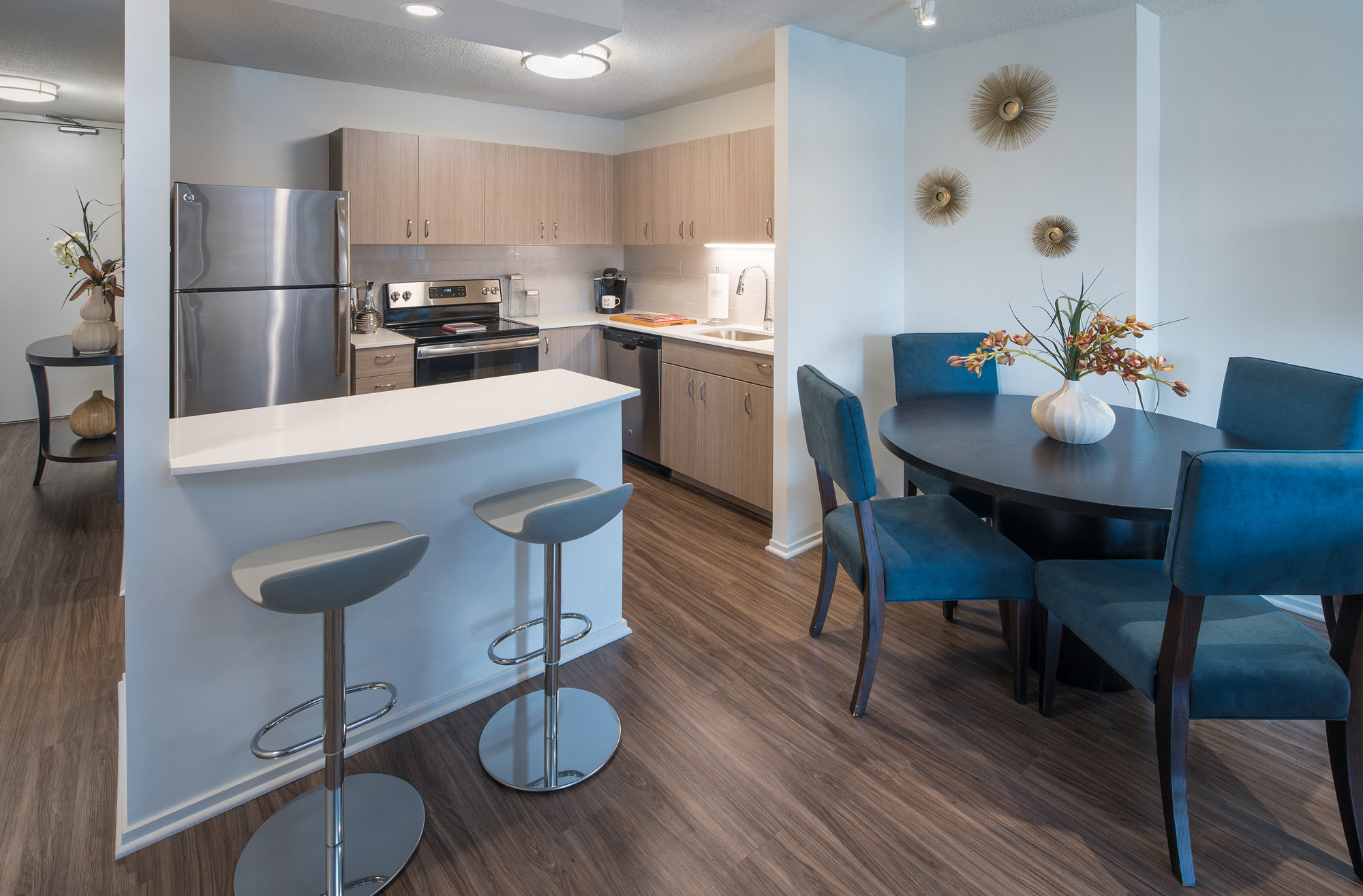 Beautiful Brand New Kitchens at Elm Street Plaza, Chicago, IL