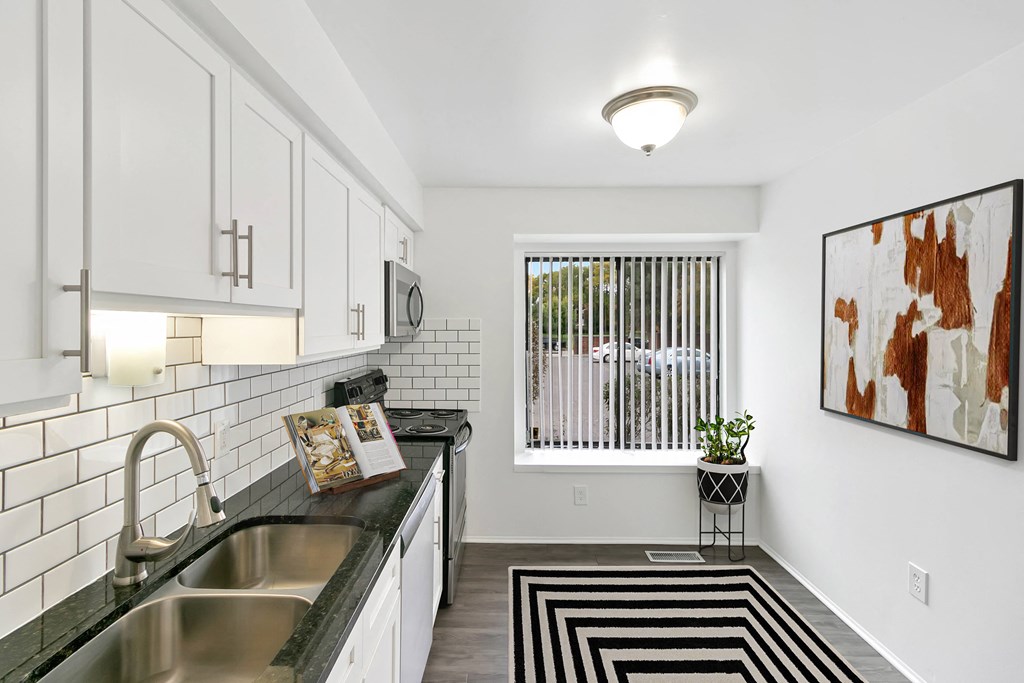 Kitchen Sink at The Village of Hyde Park, Detroit, 48207