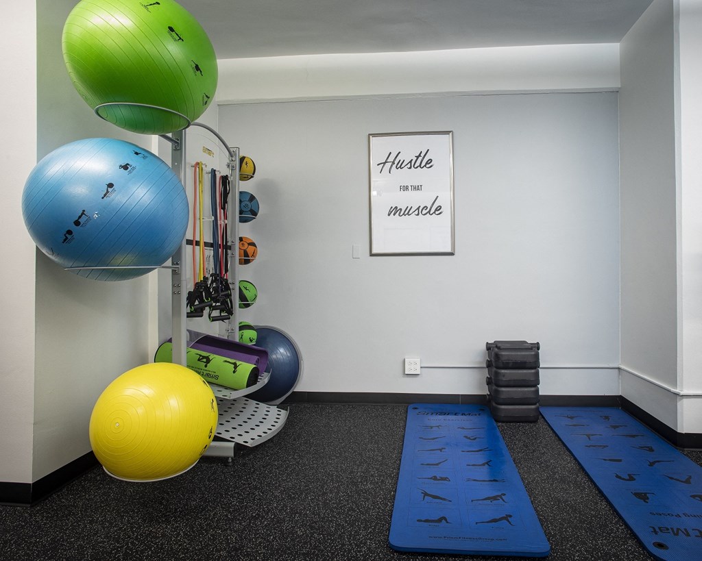 Fitness Center With Modern Equipment at Twin Towers, Chicago, 60615