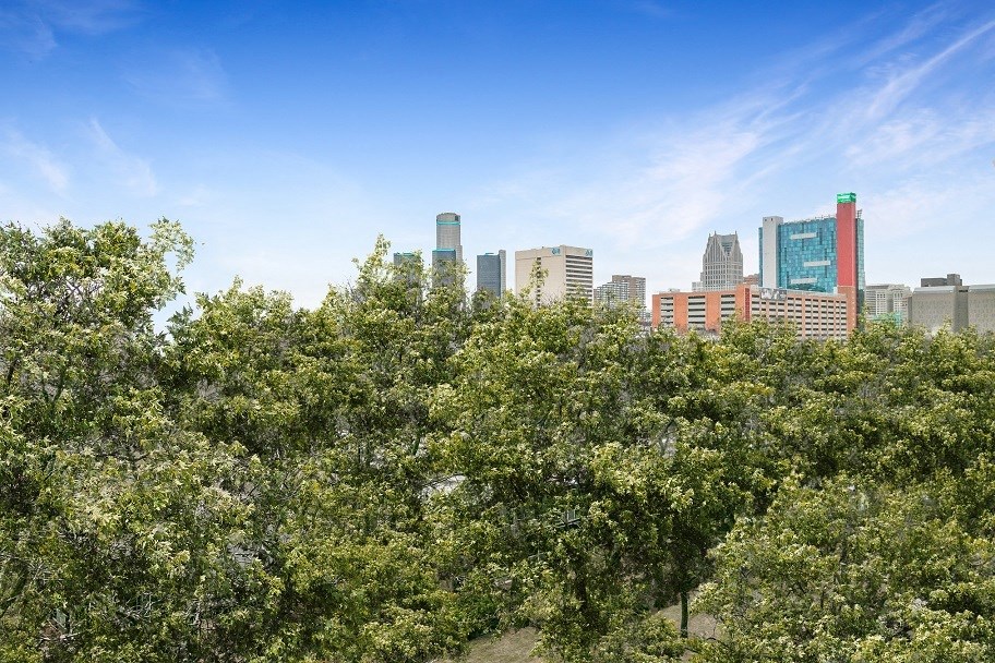 a view of the minneapolis skyline at The Pavilion, Detroit