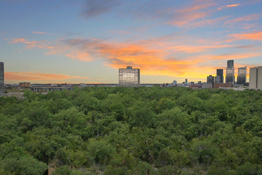 a view of the downtown austin skyline at sunset with trees in the foreground at The Pavilion, Michigan, 48207