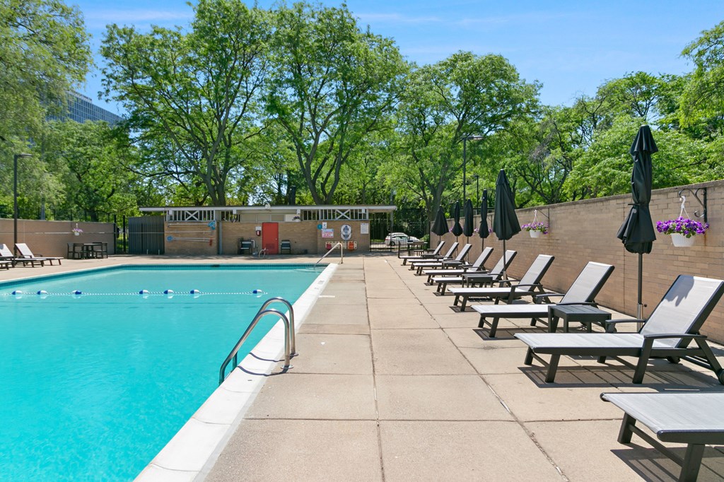 A pool surrounded by trees and lounge chairs at The Pavilion, Detroit