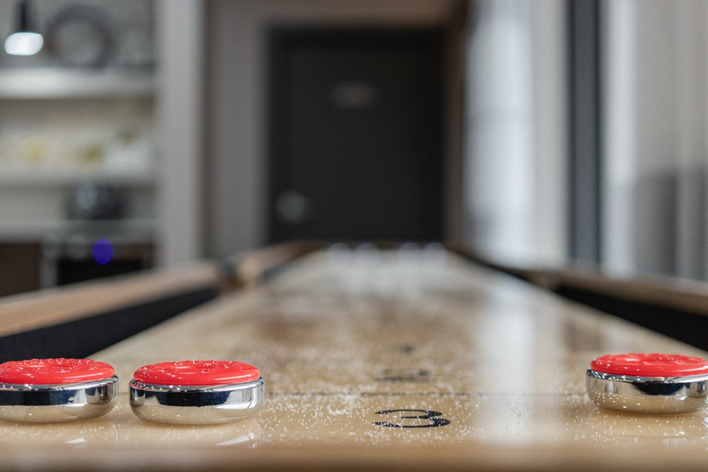 Shuffleboard in the clubhouse at The Waverly, Belleville, 48111