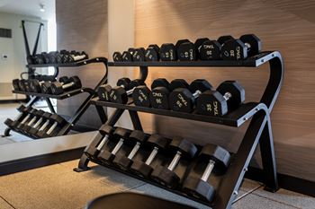 A rack of black dumbbells of various weights is on a wooden floor at Kingsbury Plaza Apartments, Illinois, 60654
