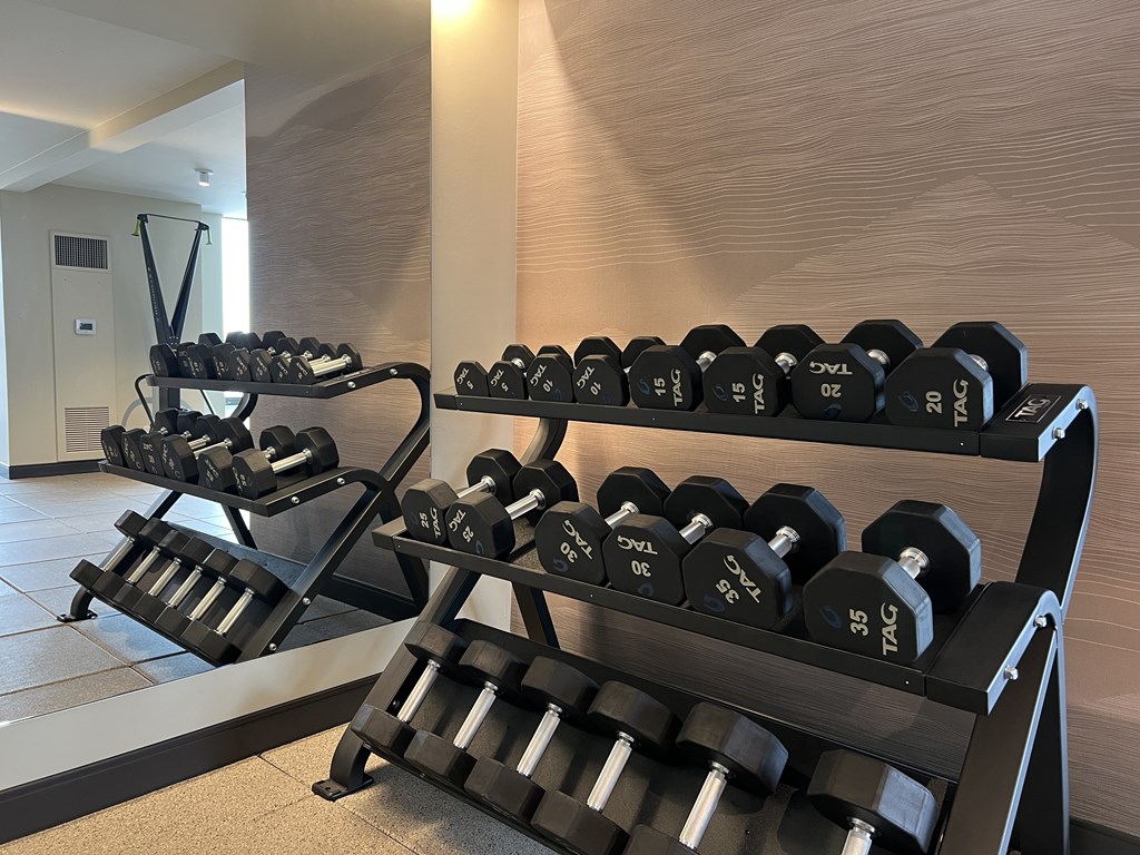 A set of dumbbells are arranged on a rack in a gym at Kingsbury Plaza, Chicago, IL