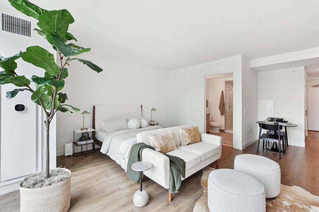 a bedroom with a couch and a bed and a large potted plant at Cassidy on Canal, Chicago, IL