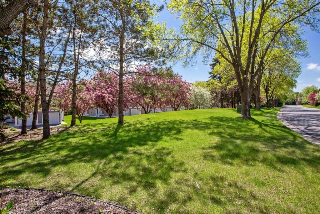 a park with green grass and trees and a road a park with green grass and trees and a road at Seasons Villas, Woodbury, MN