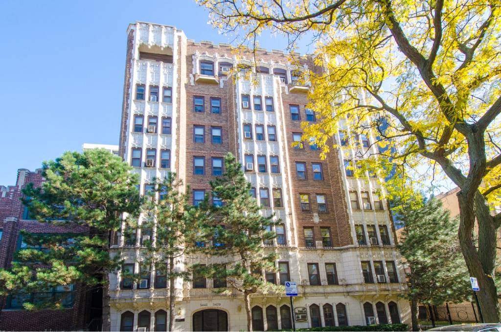 A tall building with a yellow tree in front of it.