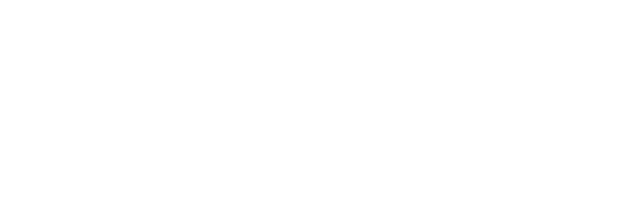 the logo for the palladium on a black background