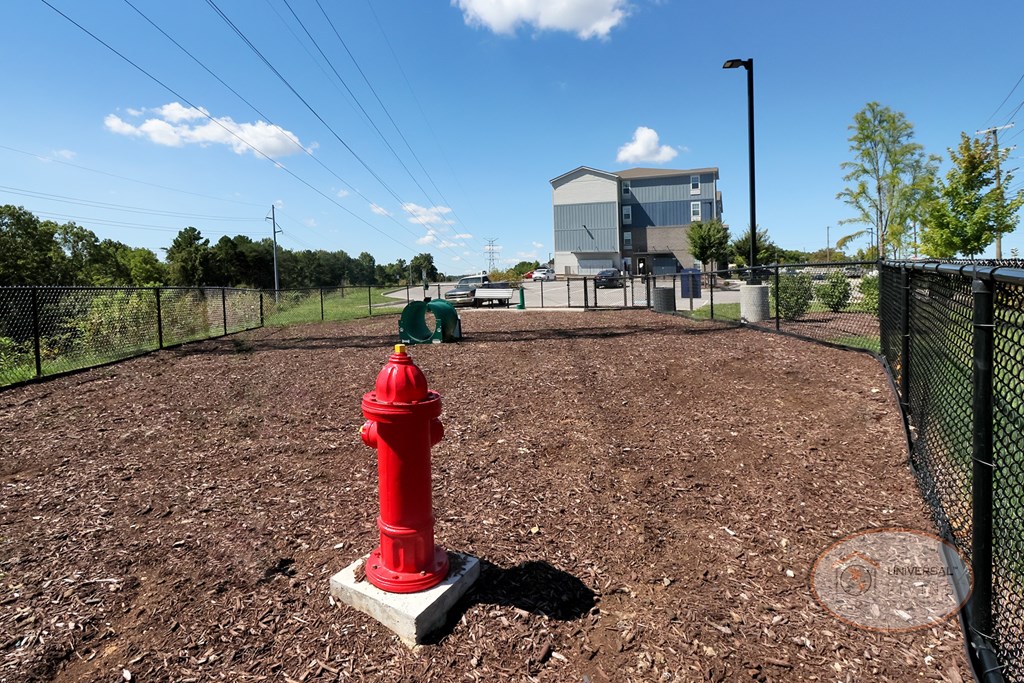 A red fire hydrant stands in the middle of the fenced in dog park.