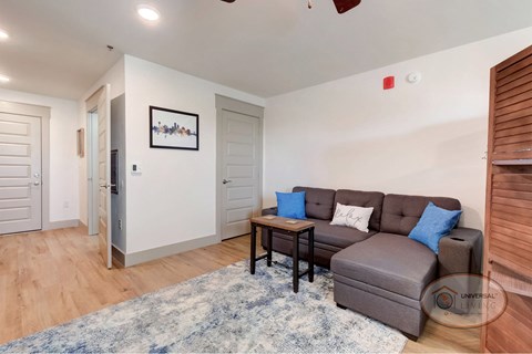 A living room with a grey couch and a blue rug.