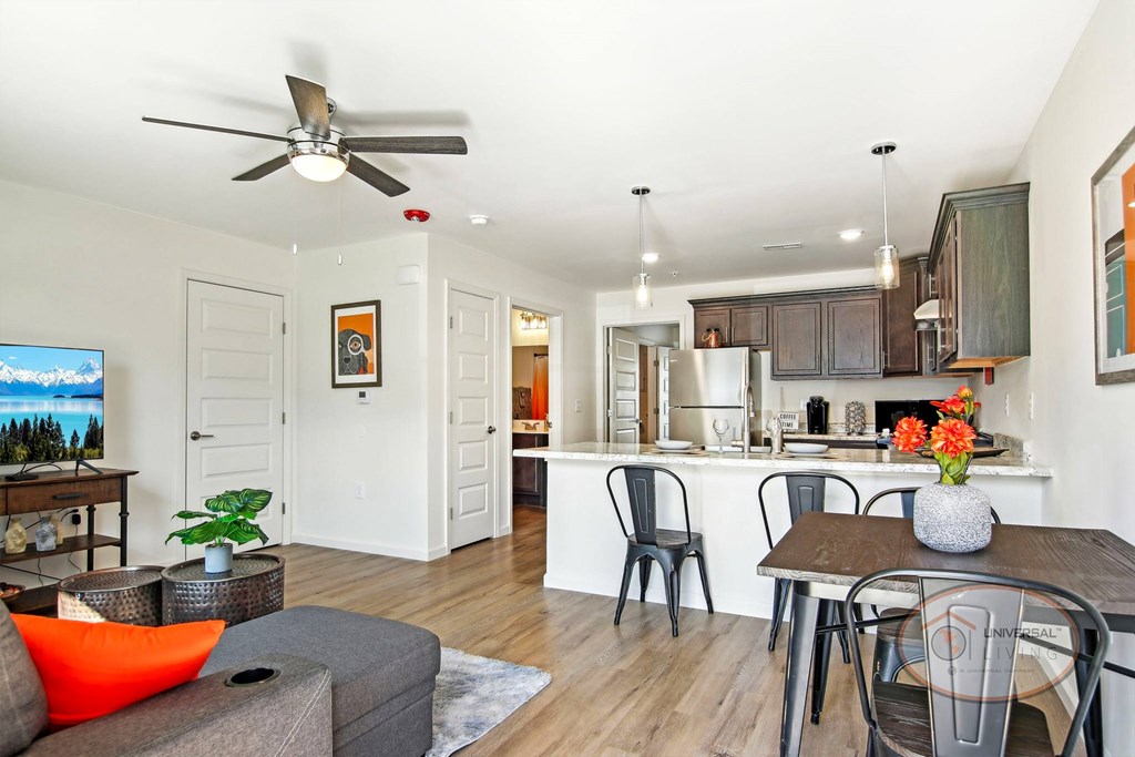 A sweeping view of the apartment from the front door. The living area with grey couch and TV are visible, as well as the kitchen, a bathroom, and a hallway leading to the bedroom.