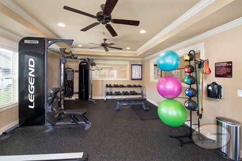 A fitness center with weight training and cardio equipment.