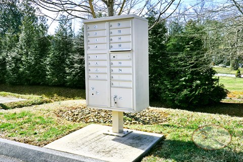 A white mailbox with the number 11 on it is in front of a green tree.
