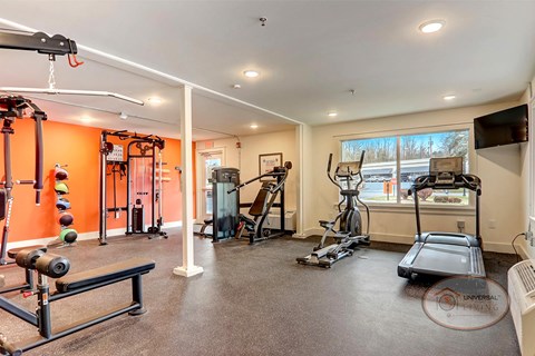 A fitness center with cardio and weight lifting equipment in front of an orange wall.