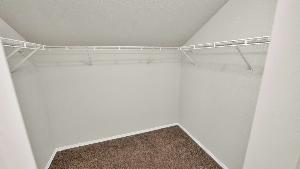 A white closet with a brown carpet.